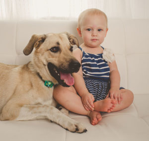 dog with baby