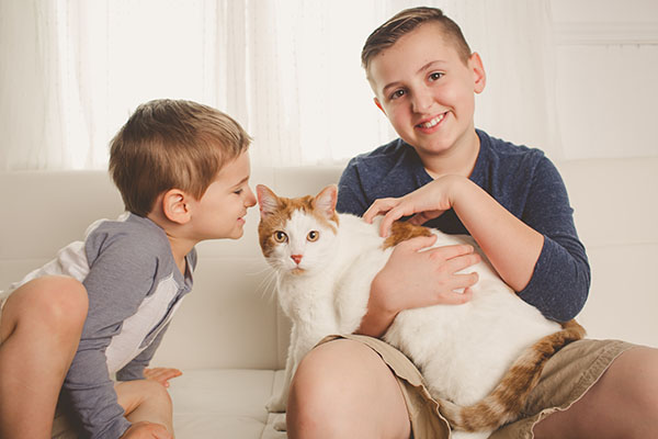 Cat with kids